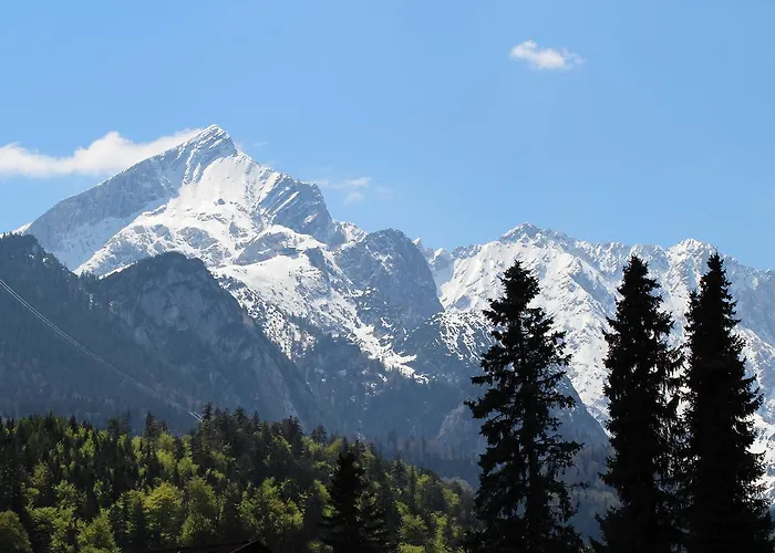 Tim Garmisch-Partenkirchen